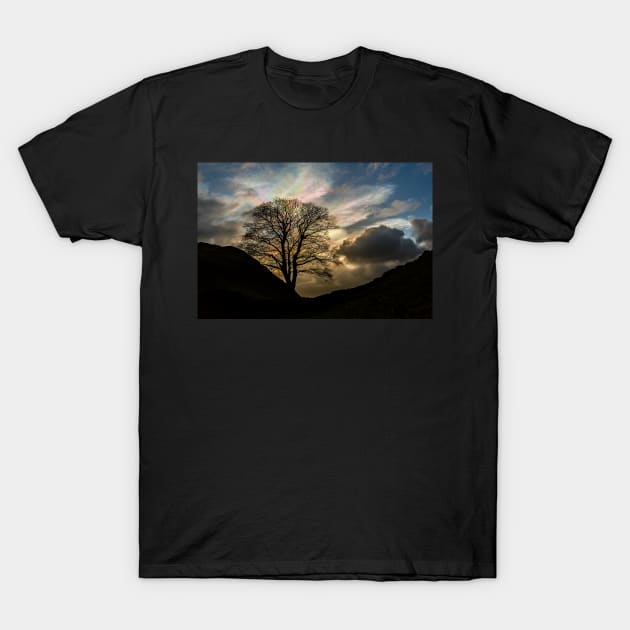 Sycamore Gap Silhouette T-Shirt by Reg-K-Atkinson